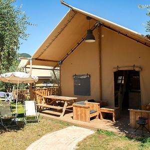 Safari Tent